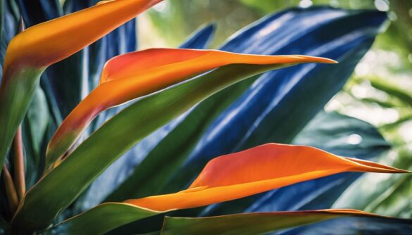 odpowiednie doniczki dla strelitzia